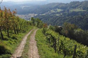 metapherwanderung image5