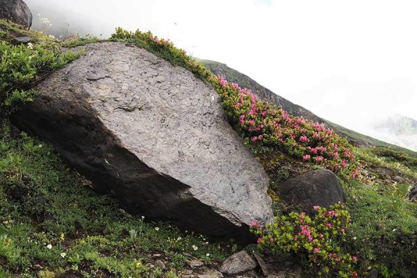 Abenteuer und Sicherheit Headerbild